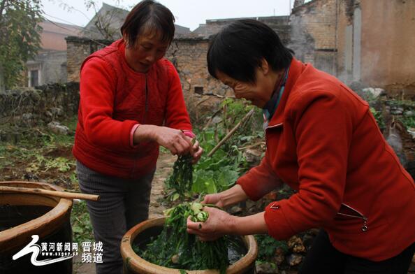 阳城县农民精心腌制过冬酸菜
