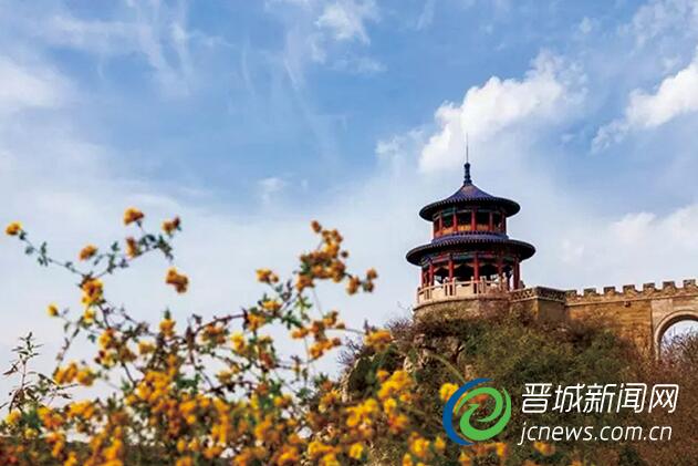 摄影:康勤根 文字:小太阳